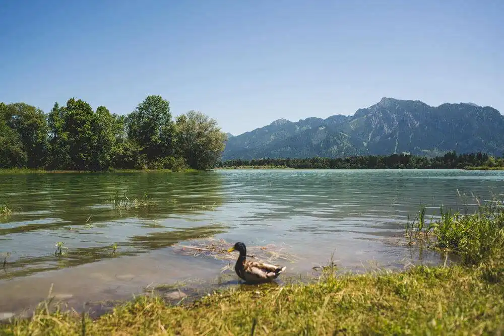 Rennrad Tour Auerberg Allgau 28 Rennrad Tour Auerberg Allgau 28
