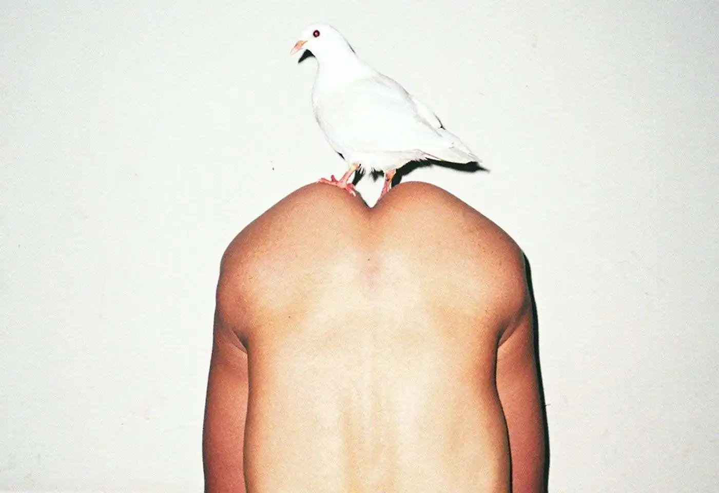 renhang titel renhang titel
